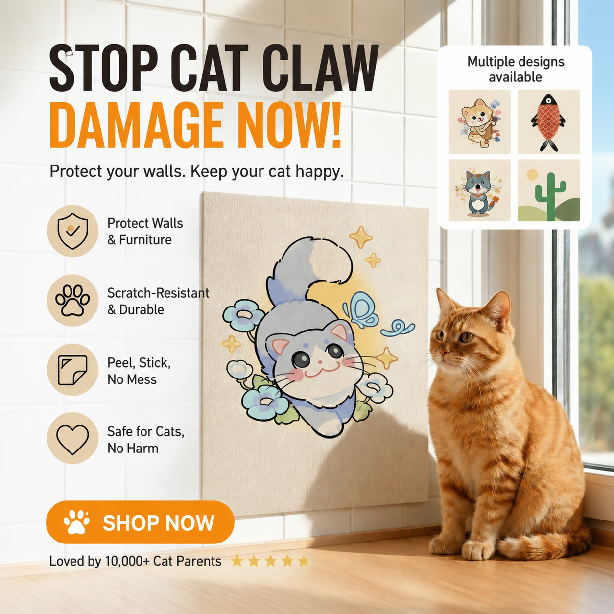 Playful Cat
