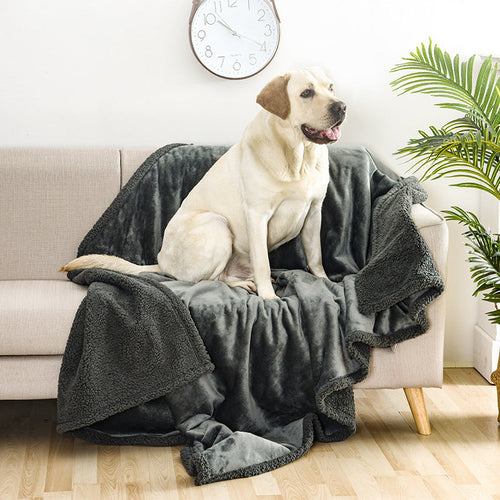 Water-Resistant Dog Throw Blanket